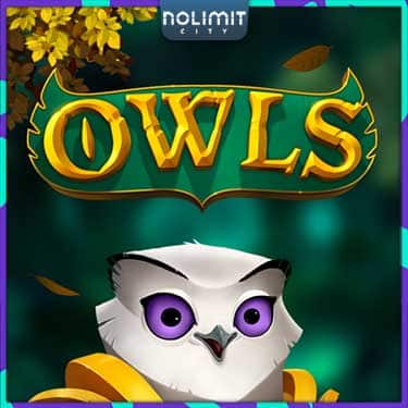 Owls Land Slot