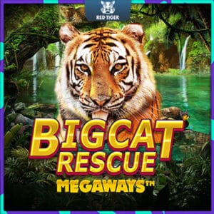 ปก - landslot Big Cat Rescue MegaWays
